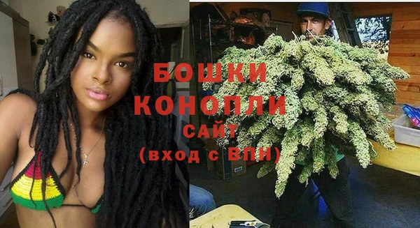 молекула духа Нязепетровск