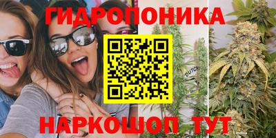 дмт Волжский