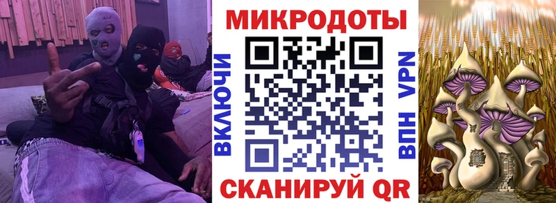 Галлюциногенные грибы Magic Shrooms  купить закладку  Тюмень 