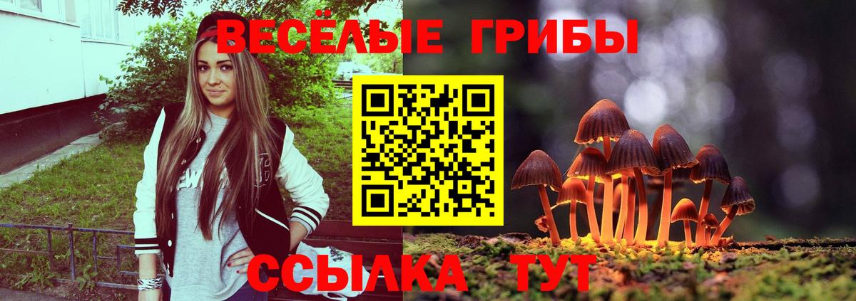 Псилоцибиновые грибы Psilocybine cubensis Тюмень
